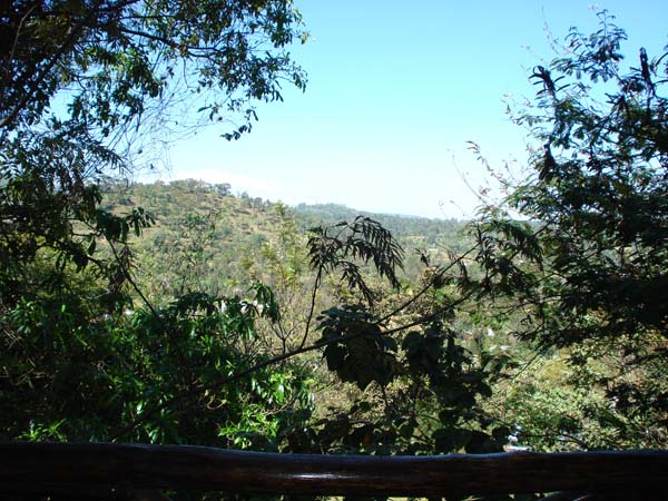 DSC00075