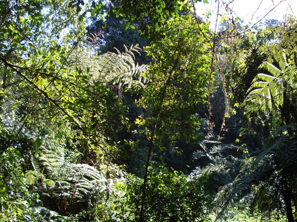 DSC00130