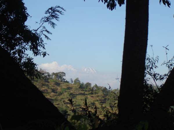 DSC00714
