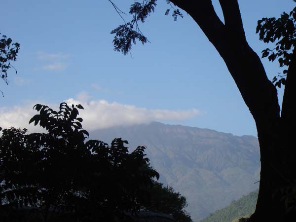 DSC00715