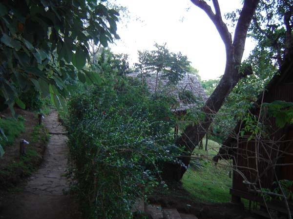 DSC00716