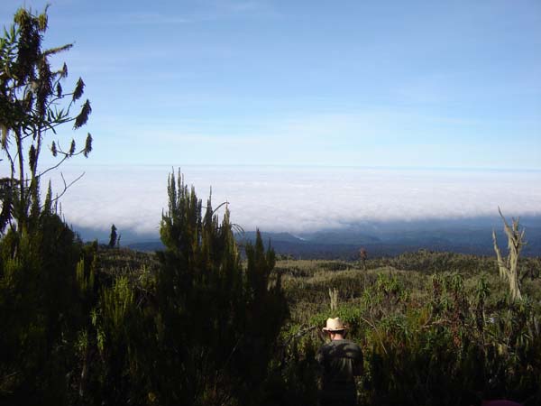 DSC00730