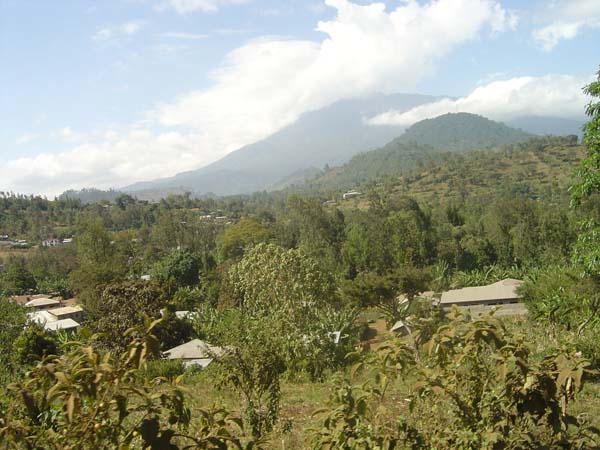 DSC03332