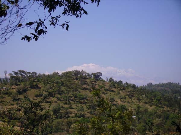 IMGP0203