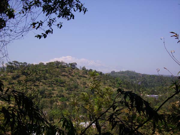 IMGP0204
