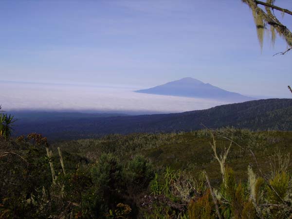IMGP0220