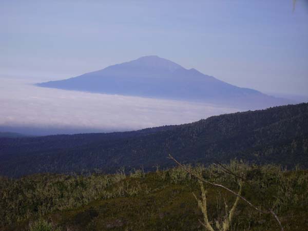 IMGP0221