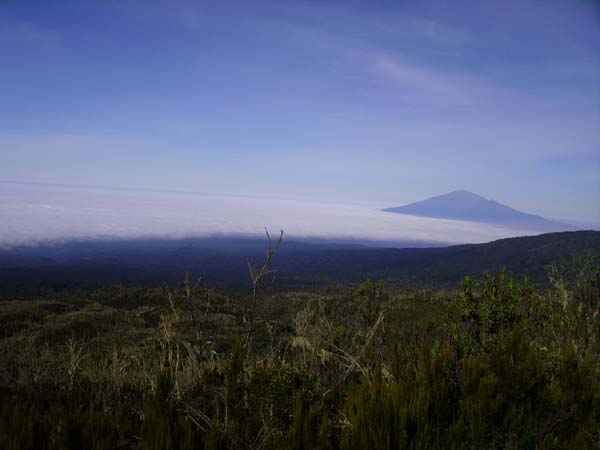 IMGP0222