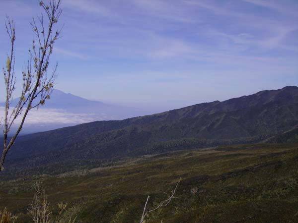 IMGP0224