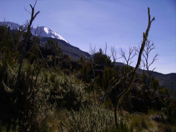 IMGP0226
