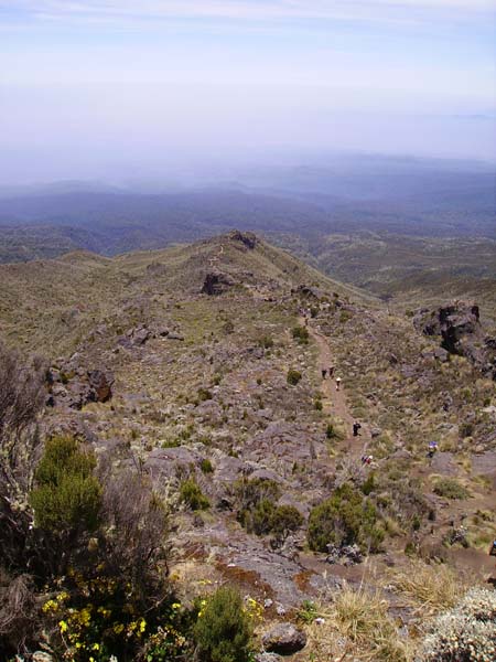 IMGP0235