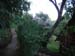 DSC00716